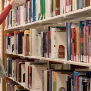 Organização do acervo da biblioteca: Confira algumas dicas.