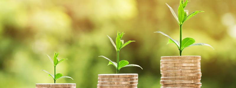 Benefícios do sistema de gestão escolar na área financeira