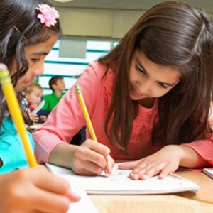 Ensino Fundamental: Como unir Excelência Acadêmica e Desenvolvimento Socioemocional